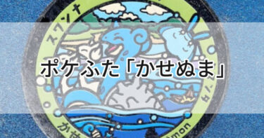 宮城県利府町加瀬沼のポケふた【ラプラス＆スワンナ＆タマンタ】みんなで海を渡って超楽しそう🩵