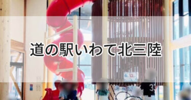 岩手県久慈市【道の駅いわて北三陸の室内遊び場】いわタイプのポケモンたちがお出迎え！館内もポケモンソングで大盛り上がり🎶